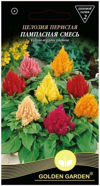 Насіння Golden Garden целозія периста Пампасна суміш 0,2 г