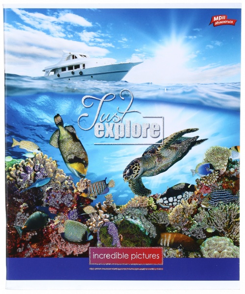 Тетрадь школьная с глитером 60 листов в клеточку в ассортименте Мечты сбываются