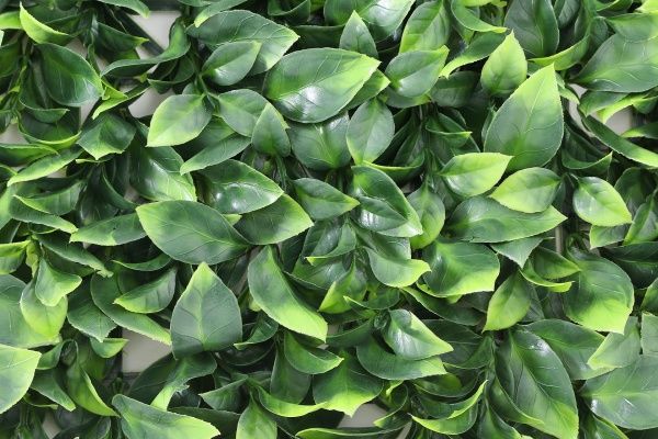 Декоративне зелене покриття Engard Самшит молодий 50x50 см GCK-05