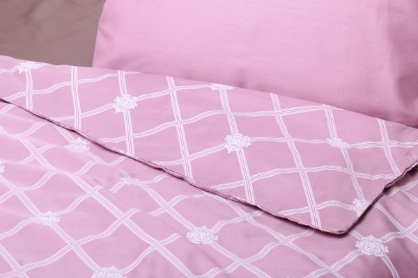 Підковдра Bergamo 1,5 160x220 см пудровий Luna 