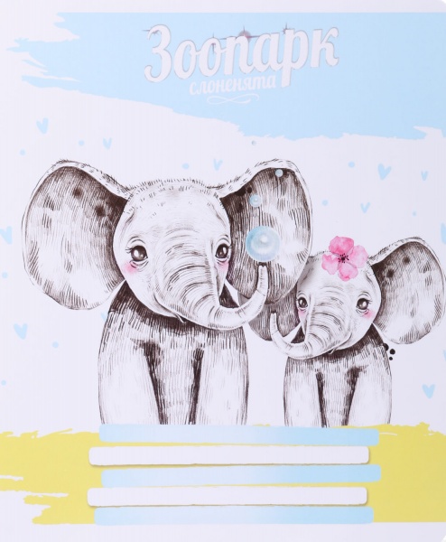 Тетрадь школьная Tadward коса