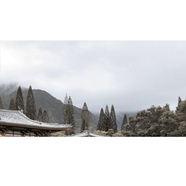 Декор Golden Tile Bamboo №3 Н71331 250x400 мм бежевий