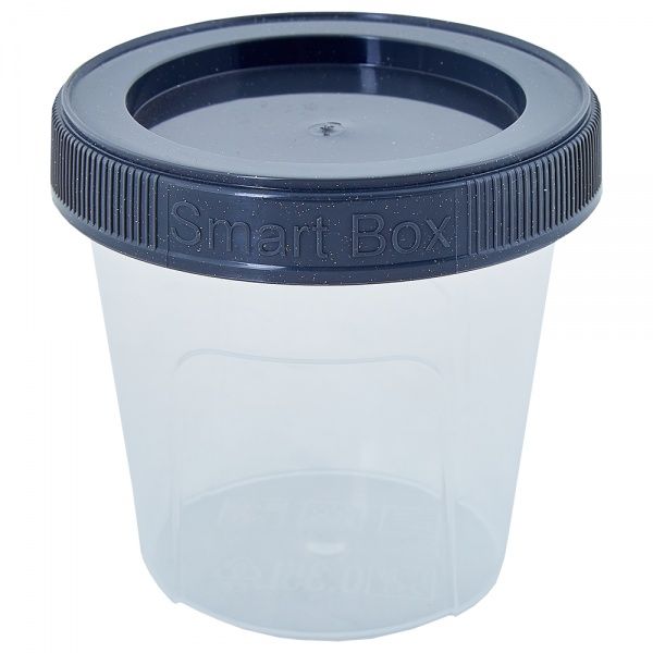 Контейнер із кришкою Алеана «Smart Box» 0,35 л граніт