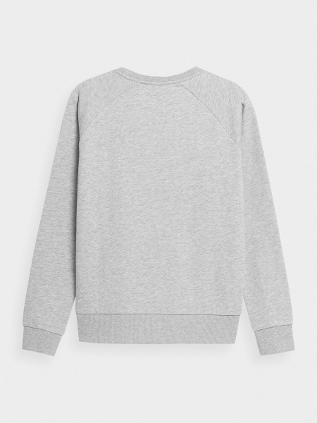 Світшот 4F SWEATSHIRT F370 SS23 4FSS23TSWSF370-27M р. XS сірий