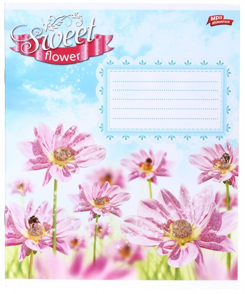 Зошит шкільний з глітером 12 аркушів у лінійку в асортименті Мрії збуваються