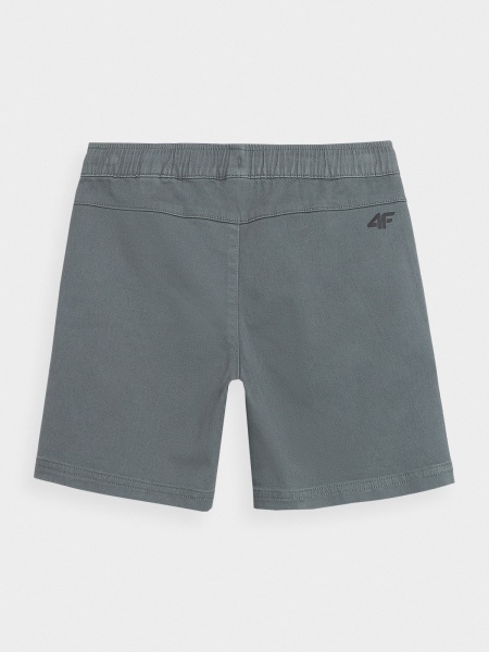 Шорти 4F SHORTS CAS M237 4FJSS23TSHOM237-25S р. 146 сірий