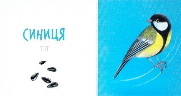 Книга «Книга. Птах» 9786177395262