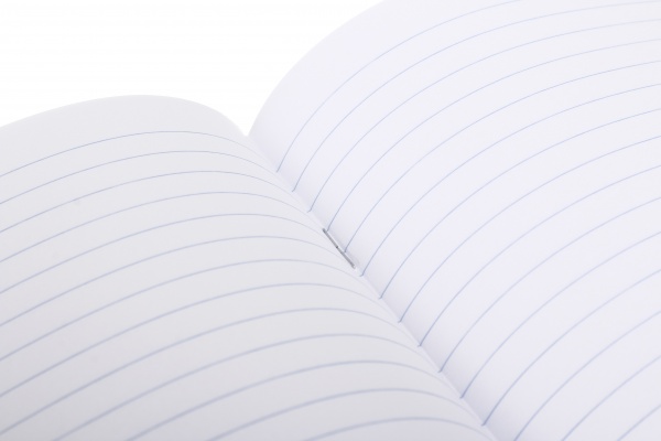 Тетрадь школьная Нимфа 48 листов линия Nota Bene