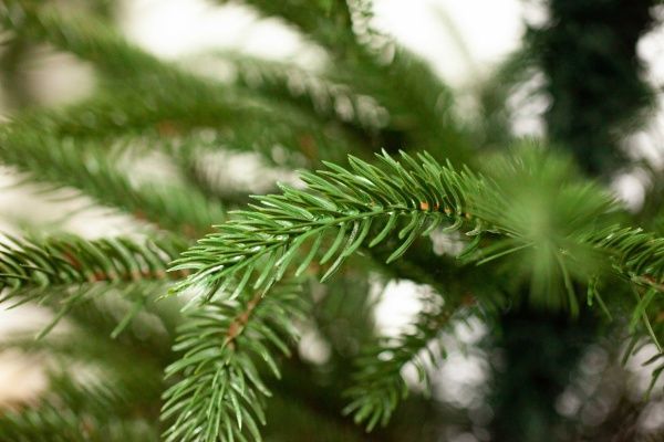 Елка искусственная Эльза-210 литая хвоя зеленый 