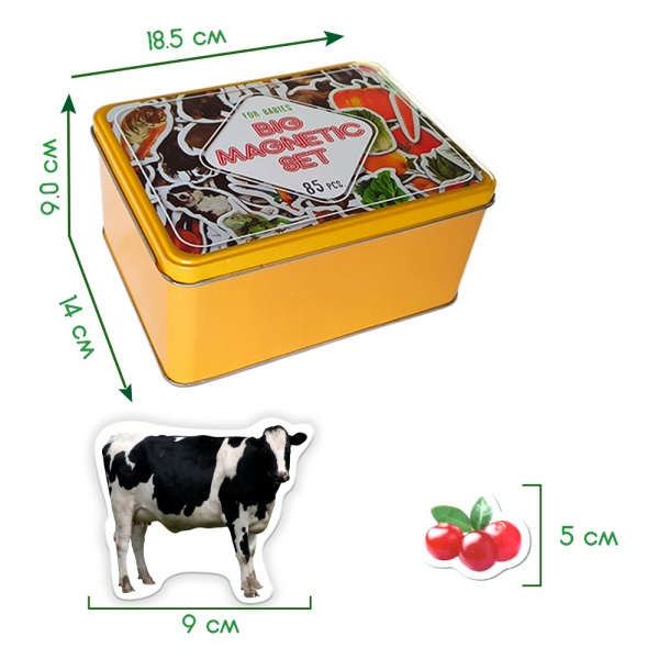 Набір магнітів Magdum Дитячий світ ML 4031-61 EN