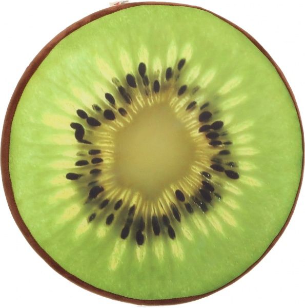 Подушка на стул Киви 36х36х5 см СЕЛЕНА