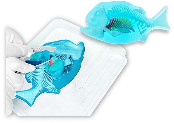 Набір дослідника Joker Slimy Lab Анатомія тварин_Піранья 38072