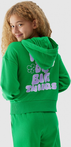 Джемпер 4F SWEATSHIRT F645 4FJAW23TSWSF645-41S зеленый