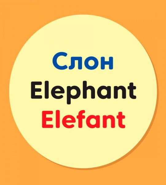 Книжка-розвивайка «Словничок у малюнках : Дикі тварини» 978-966-7491-21-5