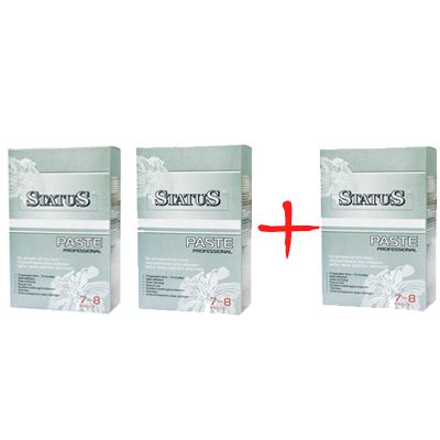 Клей Status профессиональный 250 г 2 шт + 1 шт