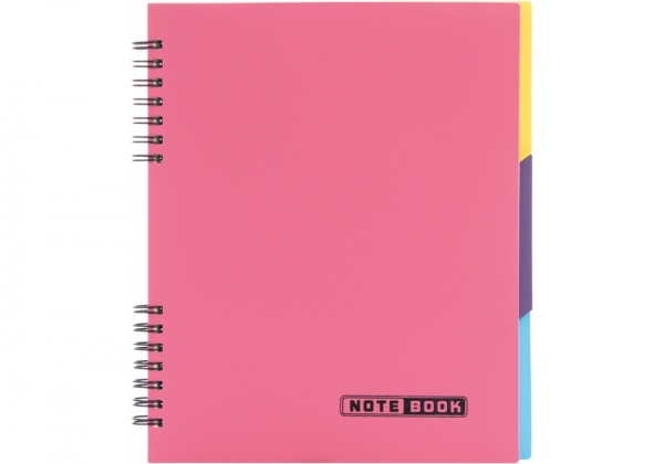 Блокнот евроспираль 120 листов E20225 Economix