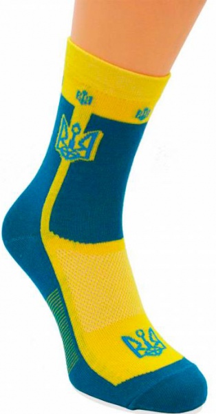 Шкарпетки чоловічі з Тризубом р. 27 синьо-жовтий 1 пар 