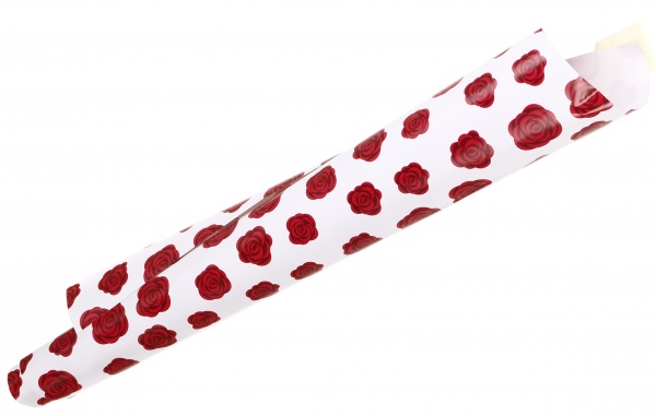 Бумага для упаковки Bourgeois 70x100 см 