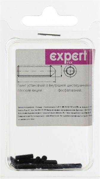 Гвинт метричний 3х8 мм БП DIN 914 3x8 мм 15 шт. Expert Fix