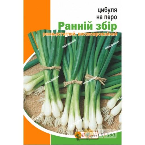 Насіння Яскрава цибуля Ранній збір 5г (4823069912352)