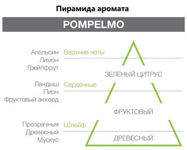 Аромадифузор для дому Hypno Casa Pompelmo 100 мл 