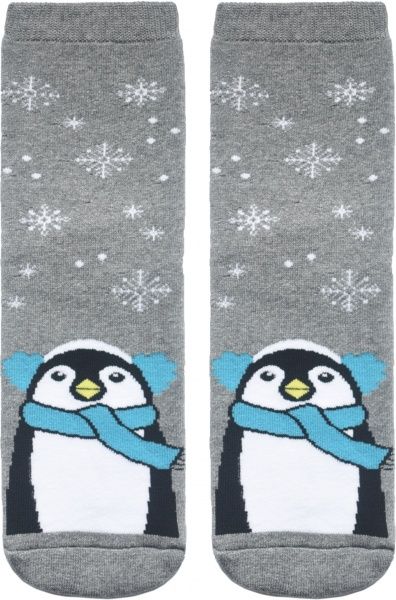 Шкарпетки жіночі Conte бавовняні арт. 52-105 Лапландія 062 р. 23 меланж 1 пар 