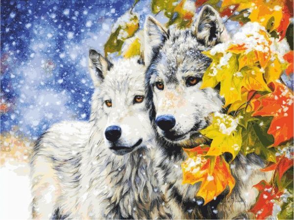 Холст на картоне с контуром Волки 30х40 см Rosa Start 