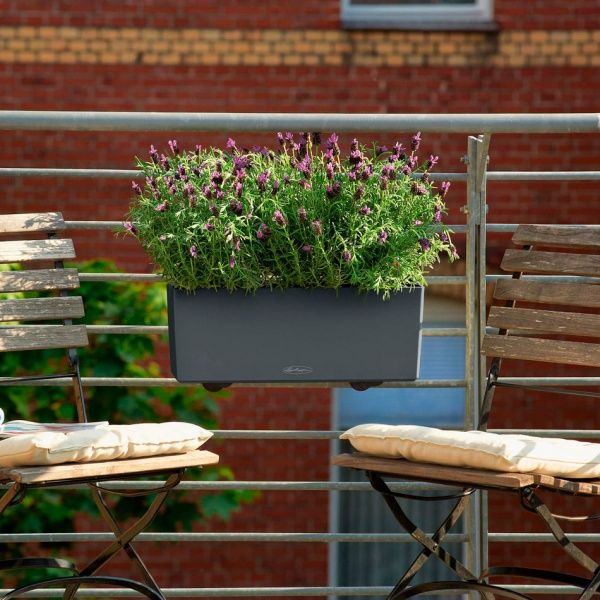 Кашпо Lechuza Balconera Color 50 прямоугольный 8л серый (15673) 