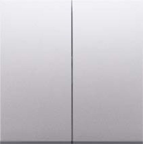 Клавиша выключателя двухклавишный Simon 54 без подсветки 10 А 250В серебристый DKW5/43