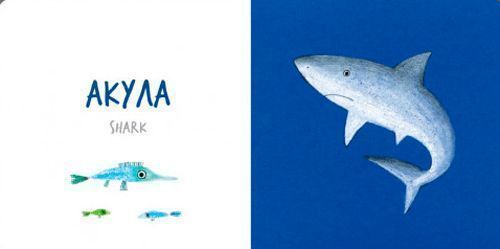 Книга Катерина Таберко «Морскі Тварини» 978-617-7395-17-0