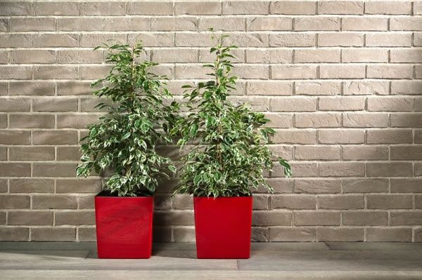 Горщик Lamela ЮКА 190 квадратний 6л червоний 