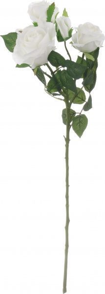 Букет роз 5 цветков белый