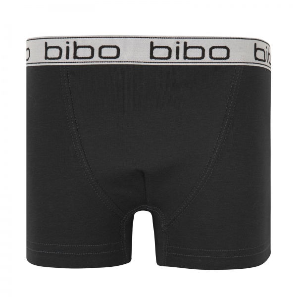 Трусики-боксеры для мальчиков Bibo р.152 черный 24030 