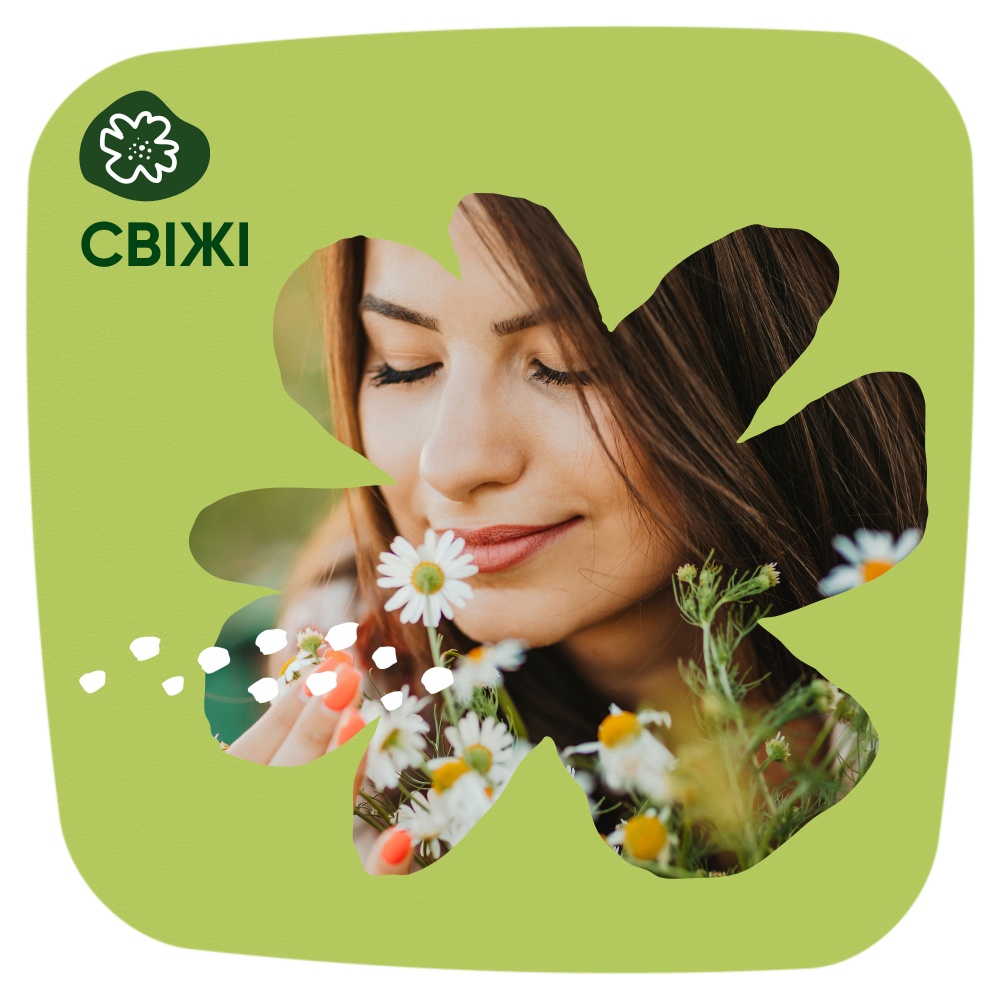 Прокладки ежедневные Naturella Camomile Normal Single 20 шт.