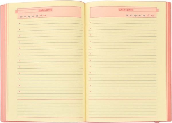 Щоденник Terra А5 251991 Leo Planner