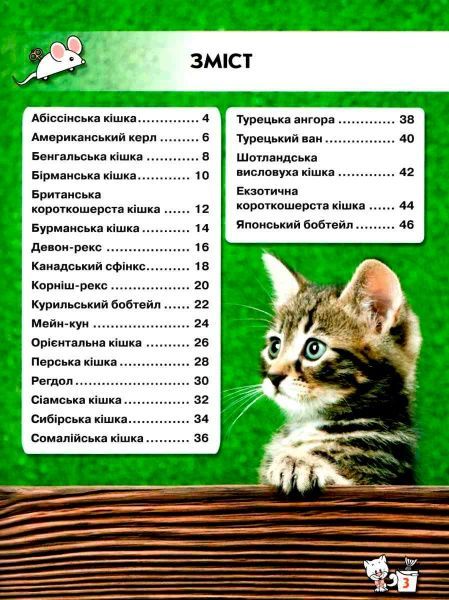 Книга Тамара Протасовицкая «Світ навколо нас. Кішки» 978-966-936-750-1