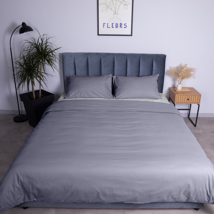 Комплект постільної білизни Mono 2.0 сірий Luna