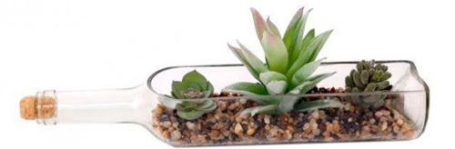 Террариум Суккуленты в горизонтальной бутылке 38х15 см