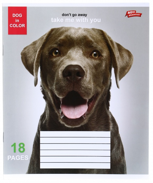 Тетрадь школьная уф-лак 18 листов в линейку в ассортименте Мечты сбываются