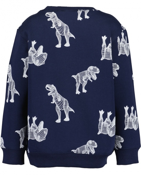 Реглан для хлопчика Blue Seven р.116 ультрамарин 864714 X5560 