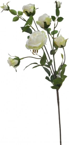 Растение искусственное Роза столепестковая кремовая 27994HN