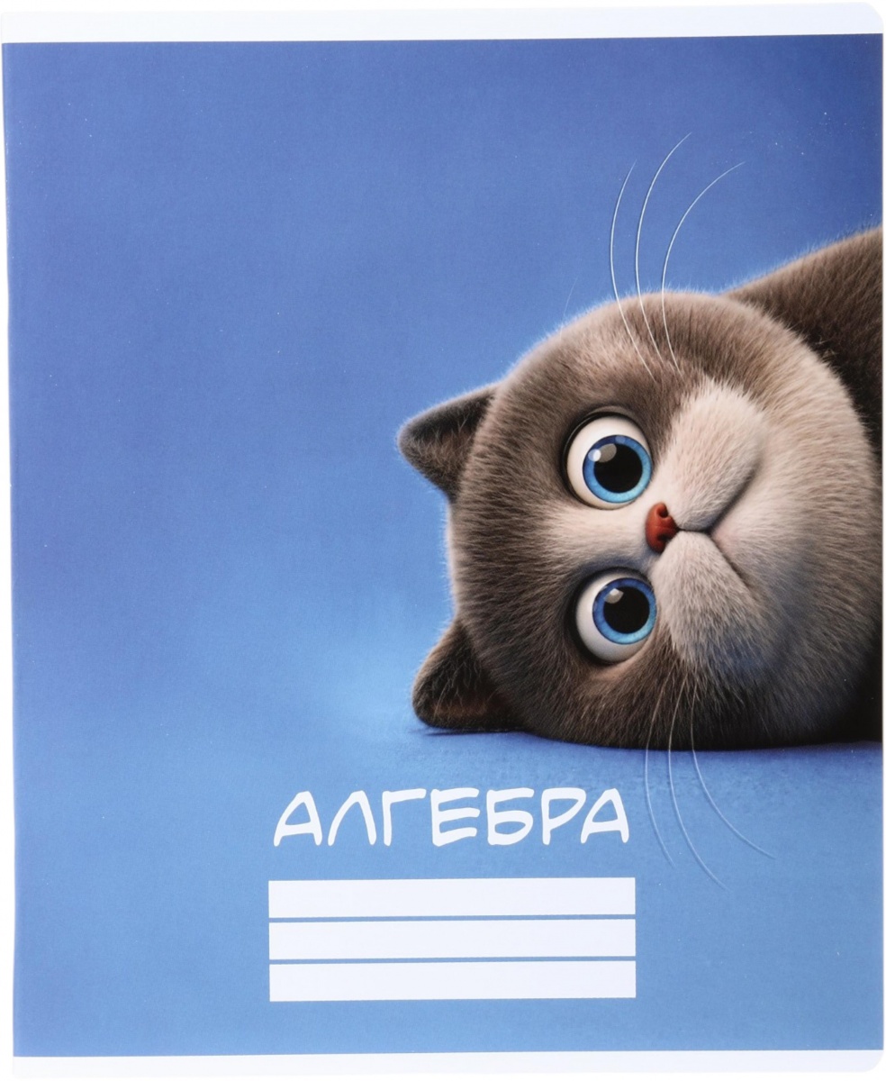 Тетрадь школьная тематический 36 листов клетка Алгебра Nota Bene — фото 1