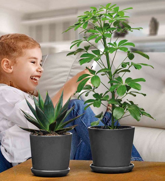 Вазон керамический Santino Bilbao круглый 0,8 л антрацит (DP-36-13-J-39-00) 