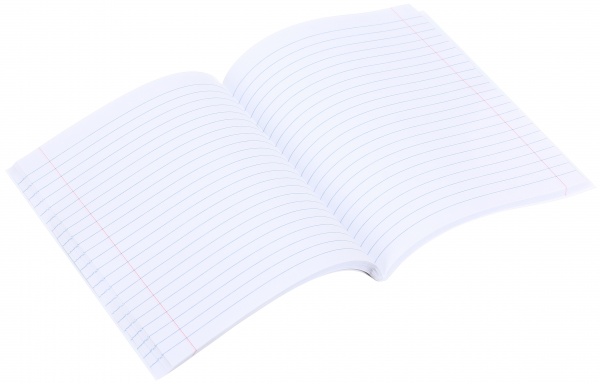 Тетрадь школьная 96 листов в линейку в ассортименте Мечты сбываются