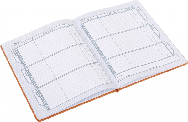 Дневник SD1601 167х211 мм 48 листов Bourgeois