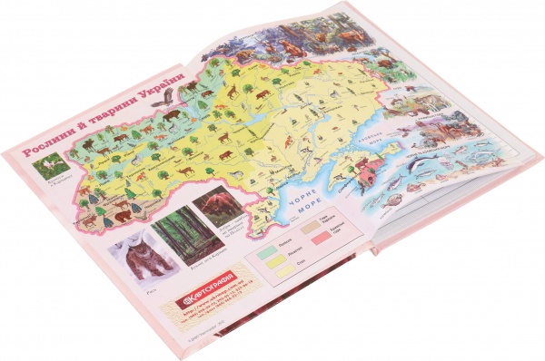 Щоденник шкільний Anime 1 Nota Bene