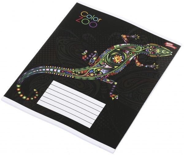 Тетрадь школьная 18 листов в клеточку в ассортименте Мечты сбываются