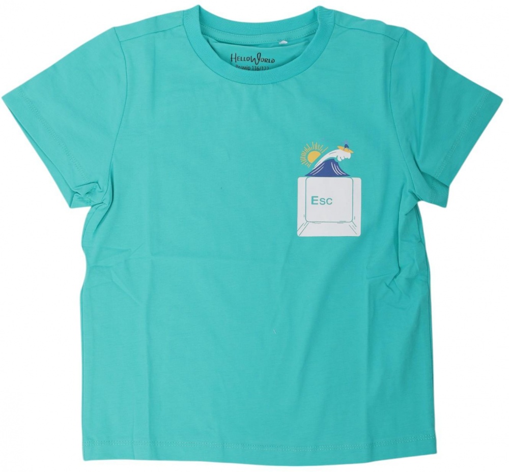 Футболка для хлопчиків HW 2 шт. р.104/110 різнокольоровий 53163_53164