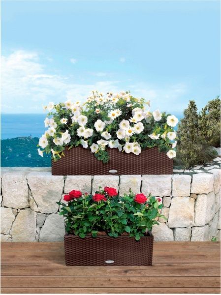 Ящик балконный Lechuza Balconera Cottage 80 прямоугольный 28,9л мокко (15615) 