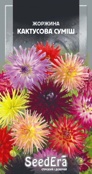 Суміш насіння SeedEra жоржина Кактусова суміш 0,3 г (4823114401145)